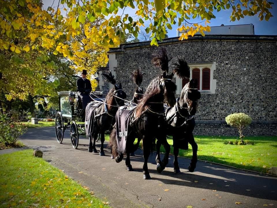 A horse drawn carriage is driving down a road