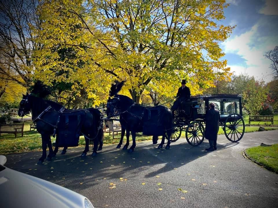 A horse drawn carriage is parked on the side of the road