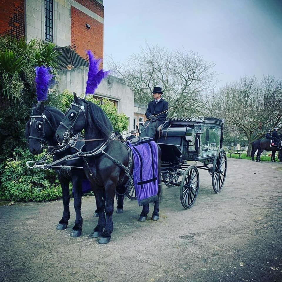 A horse drawn carriage with purple feathers on it