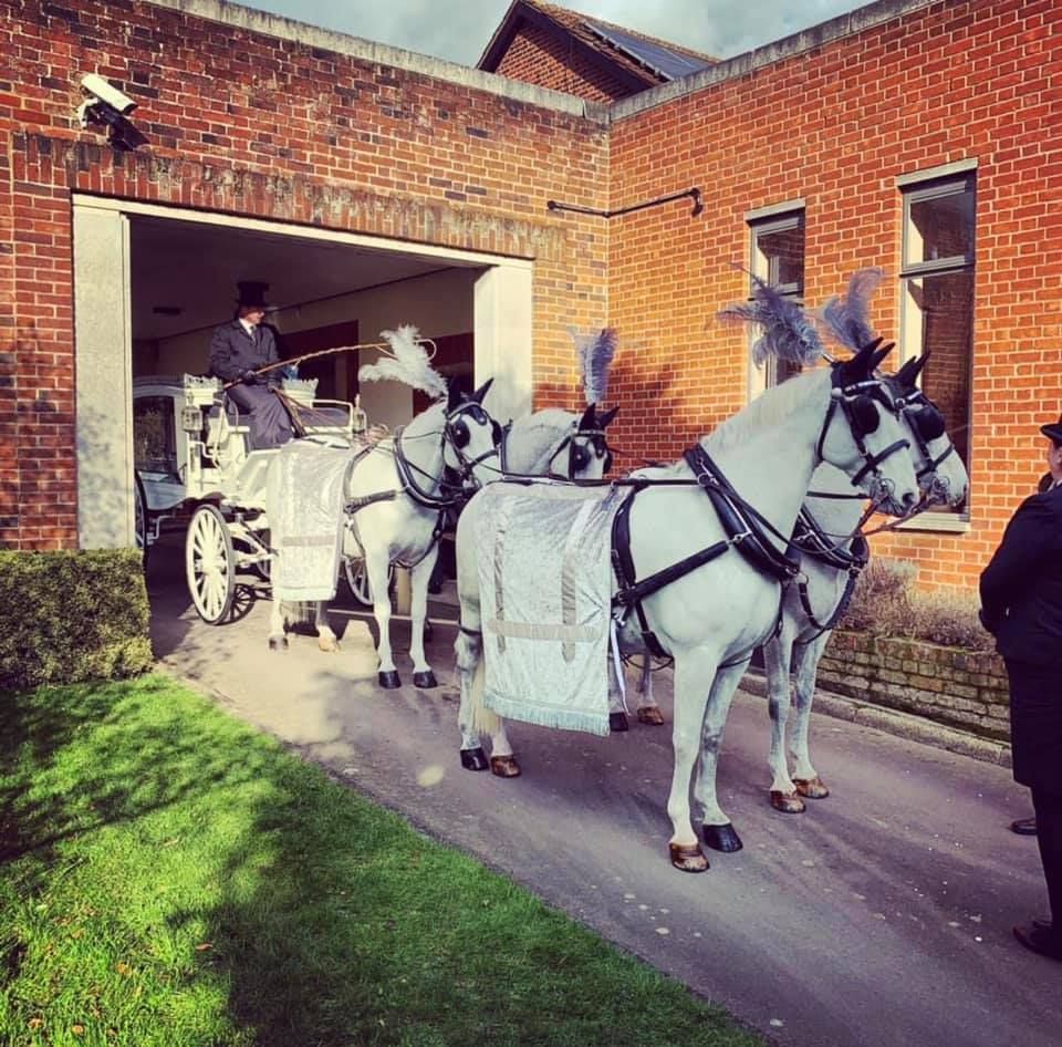 A horse drawn carriage is parked in front of a brick building