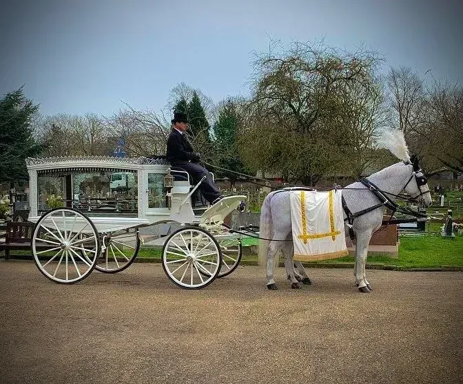 A man is riding a horse drawn carriage in a cemetery.