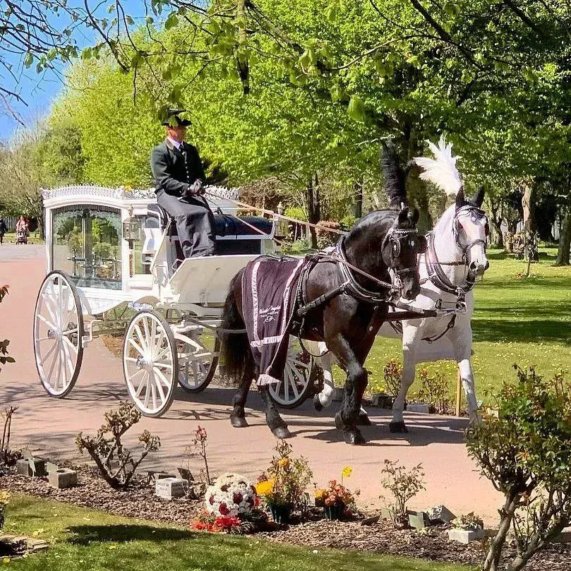 A man is riding in a carriage pulled by two horses.
