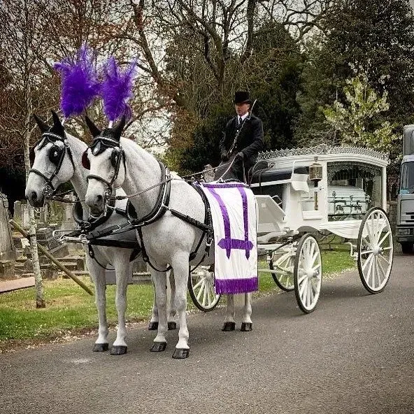 Two horses are pulling a white carriage down a road.