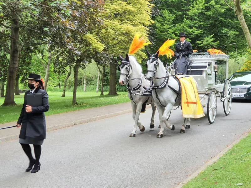 A horse drawn carriage is driving down a road