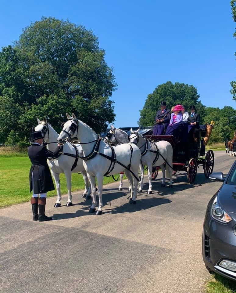 A horse drawn carriage is pulled by three white horses