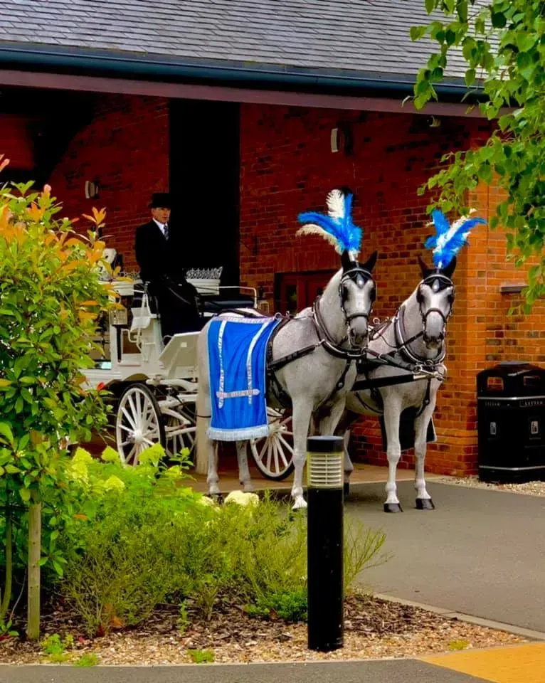 Two horses pulling a carriage with blue feathers on their heads
