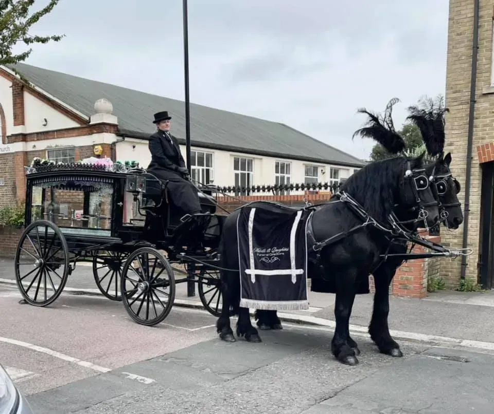 A horse drawn carriage is driving down a street.