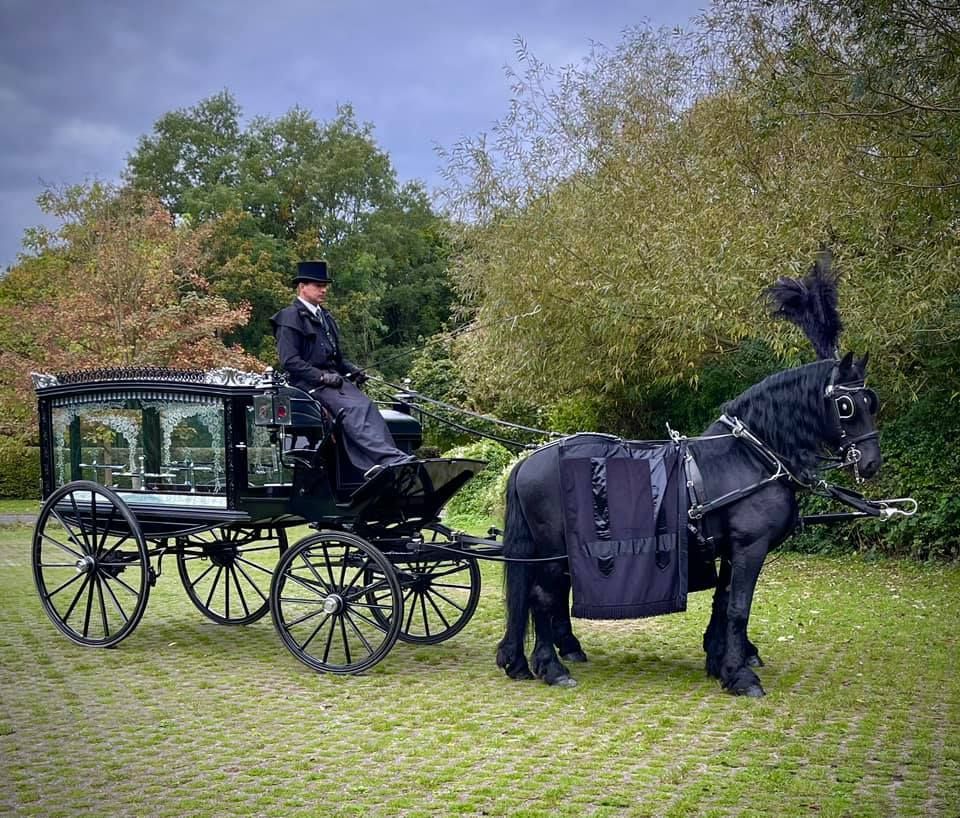 A man is riding a horse drawn carriage in a field.