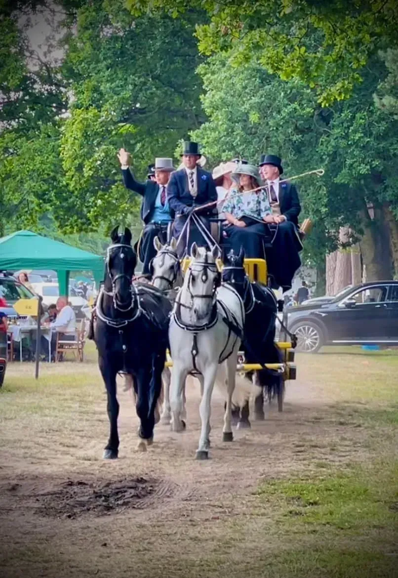 A group of people are riding in a horse drawn carriage.