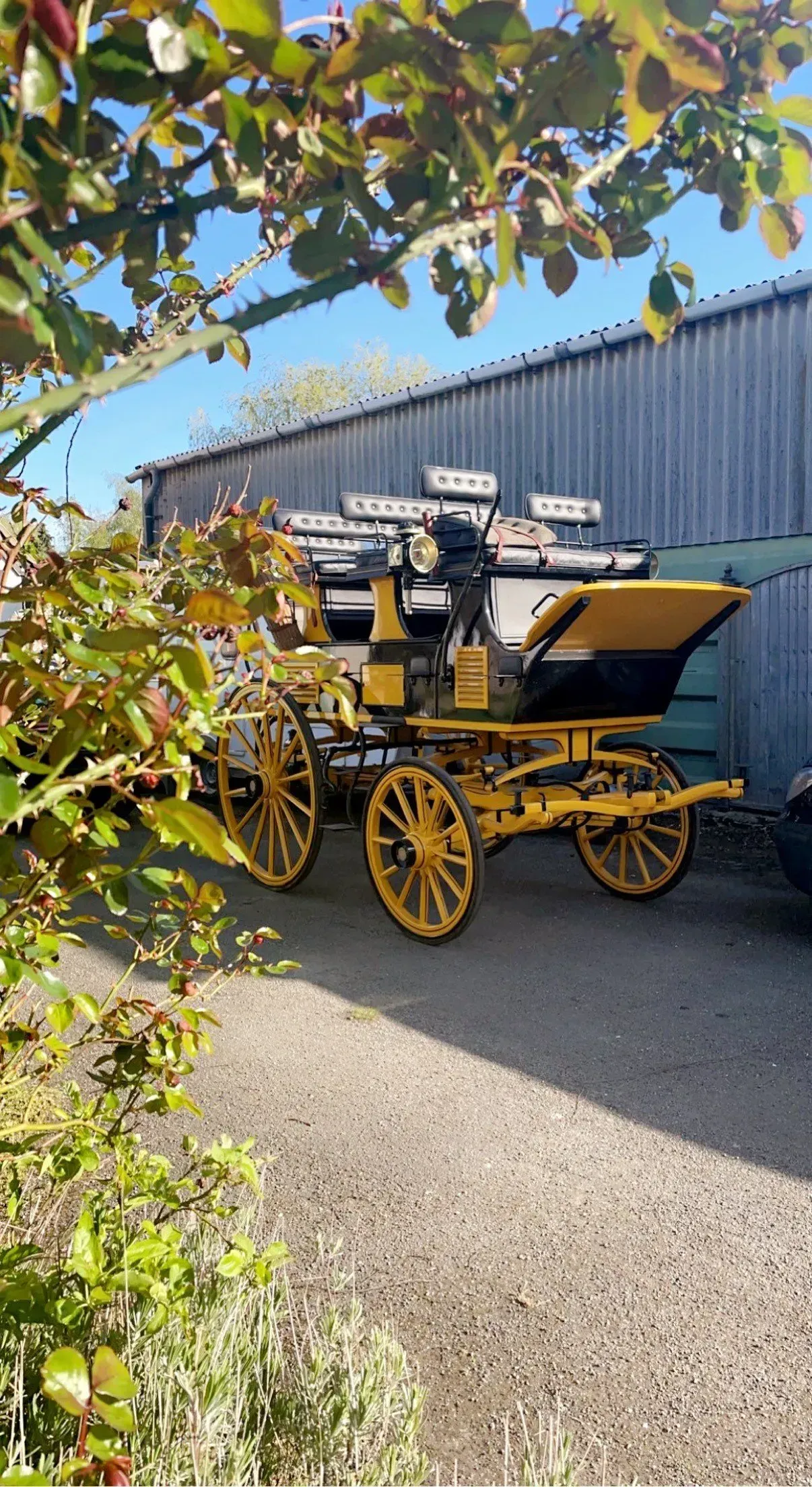 A yellow horse drawn carriage is parked in front of a building.