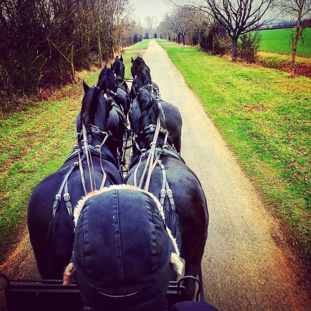 A horse drawn carriage is going down a road