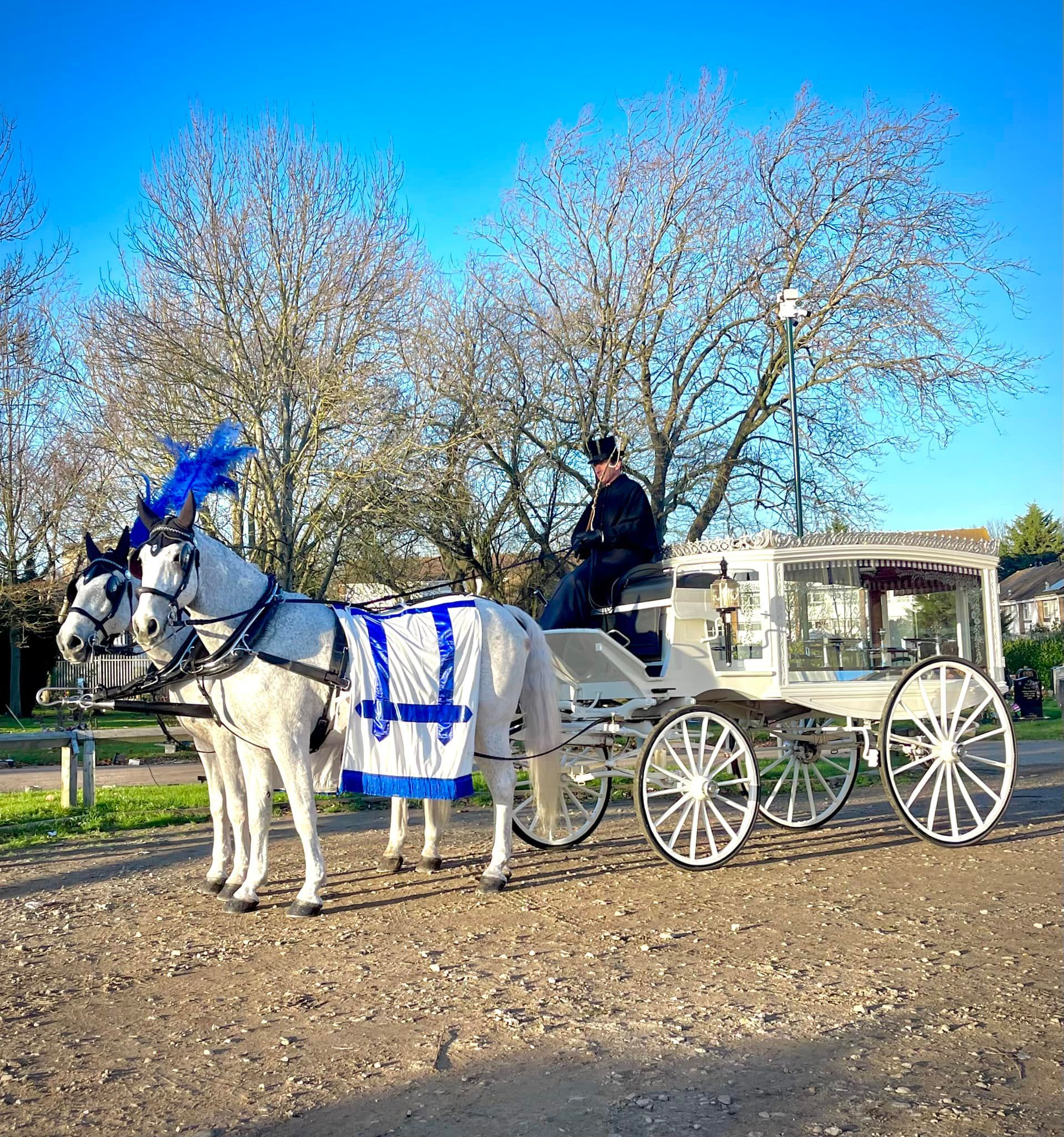 A horse drawn carriage with purple feathers is driving down a road.