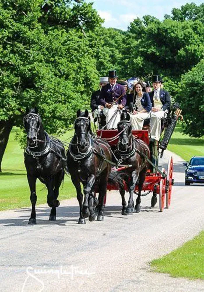 A group of people are riding in a horse drawn carriage