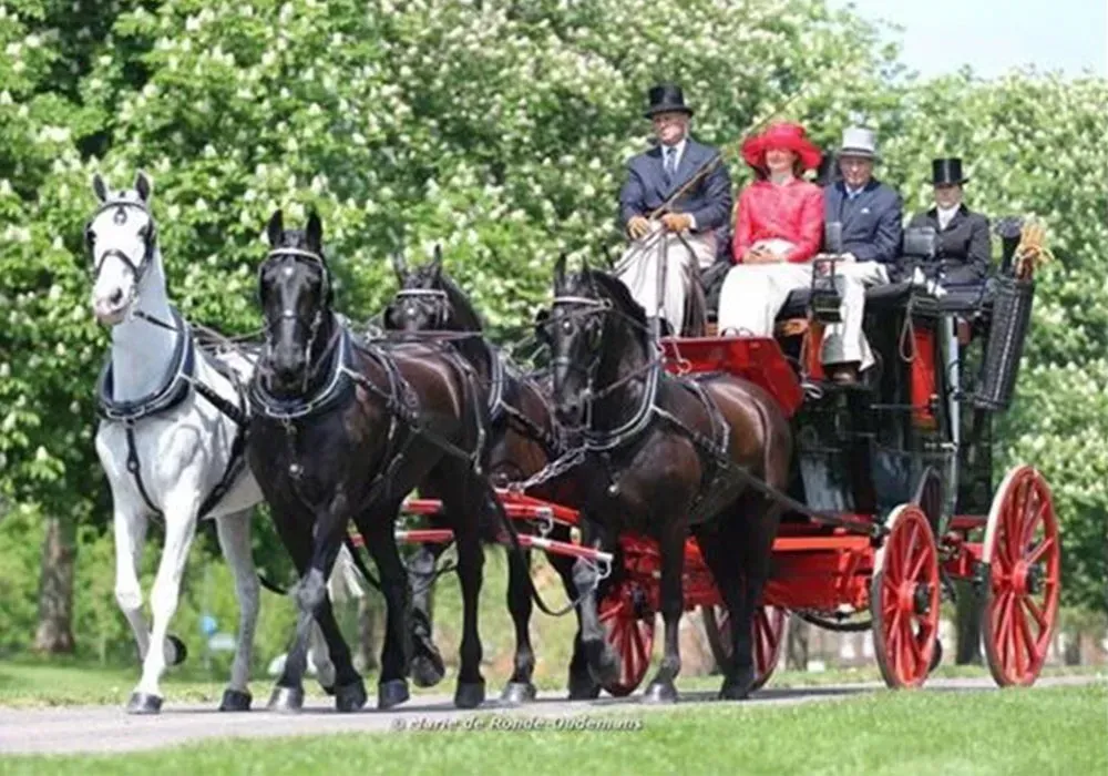 A group of people are riding in a horse drawn carriage.