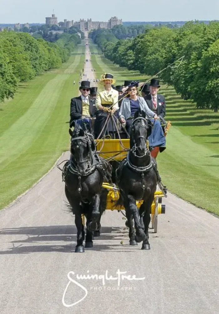 A group of people are riding in a horse drawn carriage