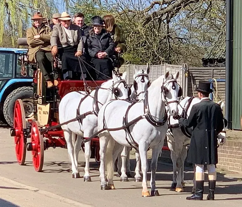 A group of people are riding in a horse drawn carriage