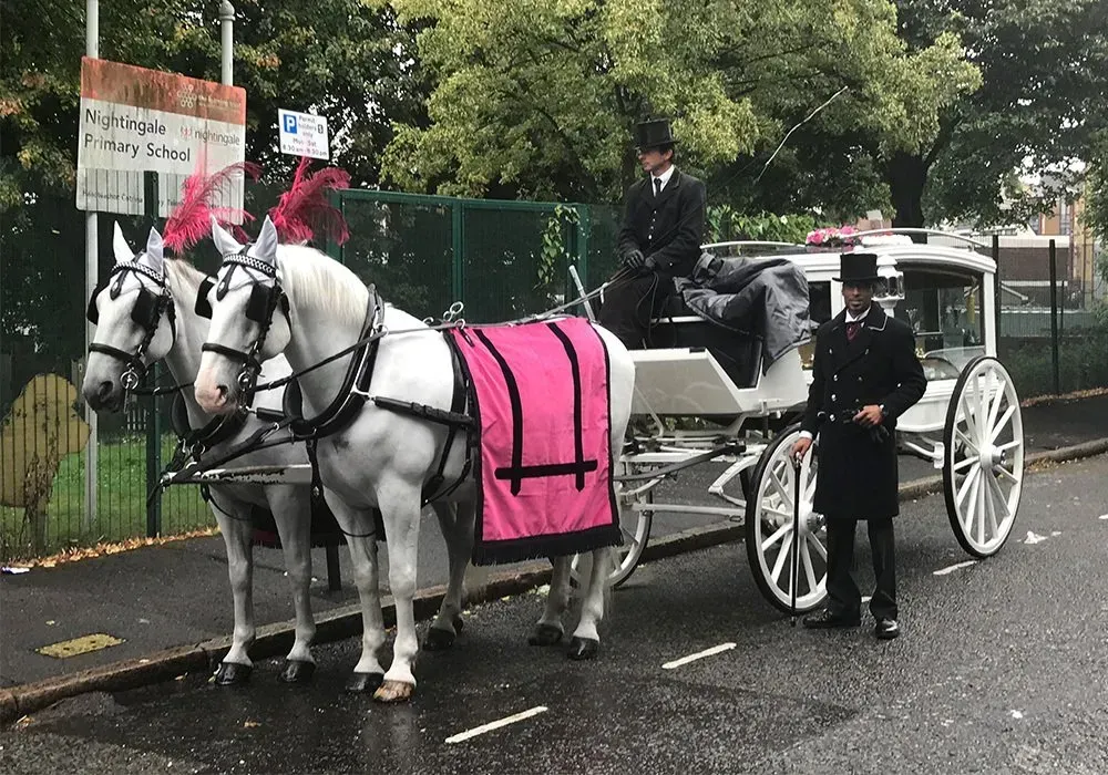 A horse drawn carriage is parked on the side of the road.