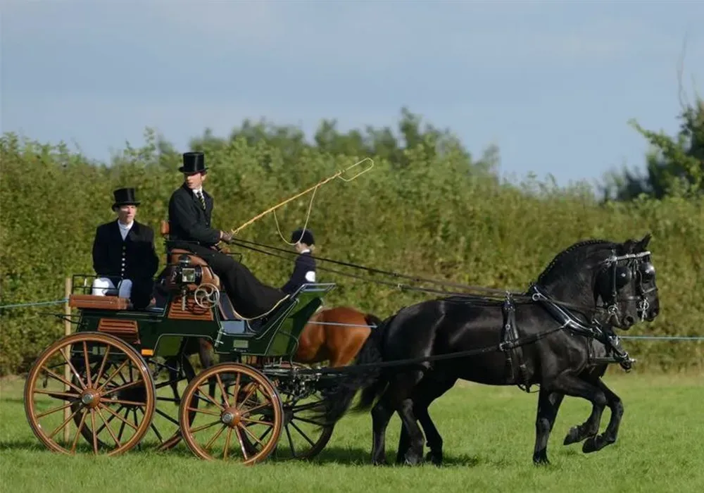 A man in a top hat is driving a horse drawn carriage