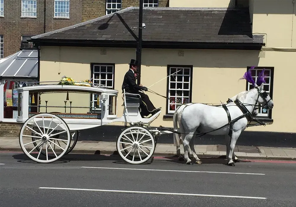 A horse drawn carriage is driving down the street