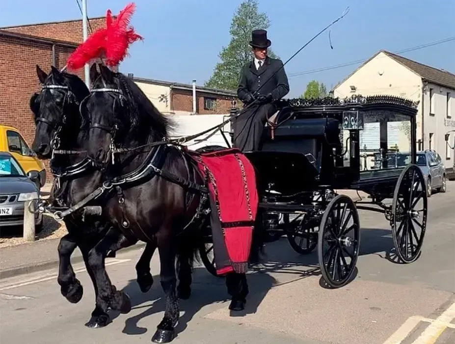 A man is riding a horse drawn carriage down a street.