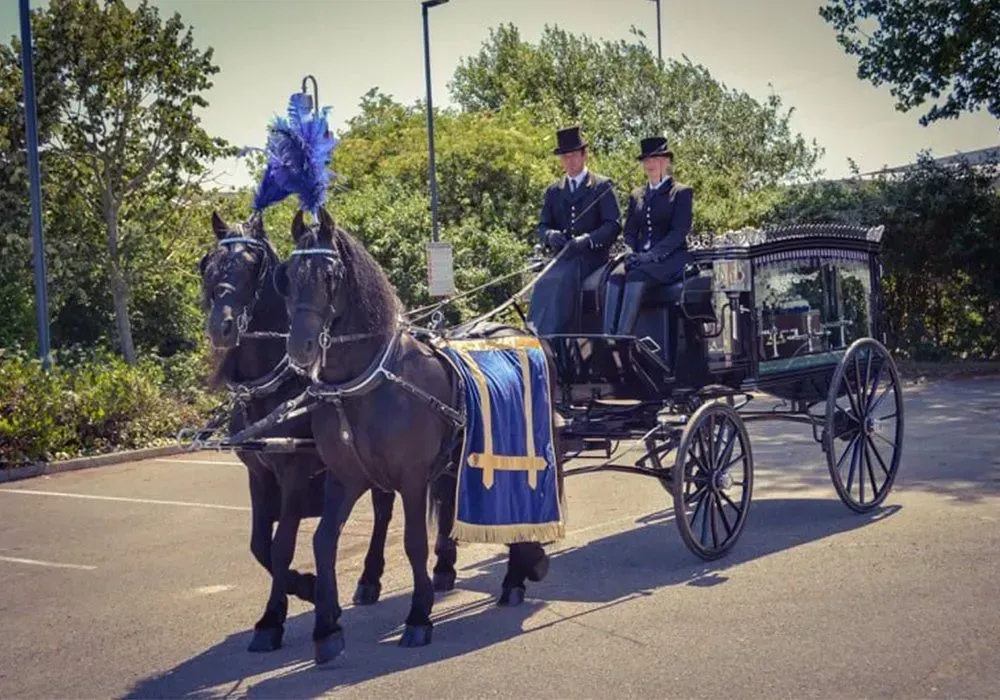 A horse drawn carriage is pulled by two black horses