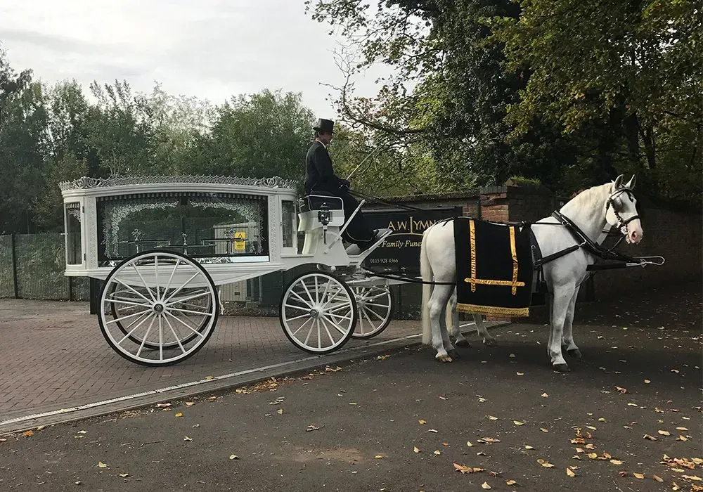 A horse drawn carriage is pulled by a white horse.