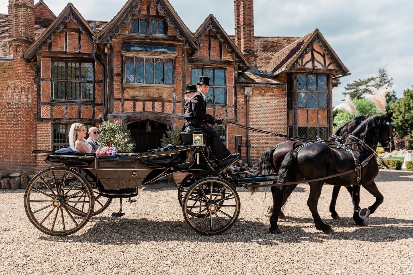 A horse drawn carriage with purple feathers is driving down a street.