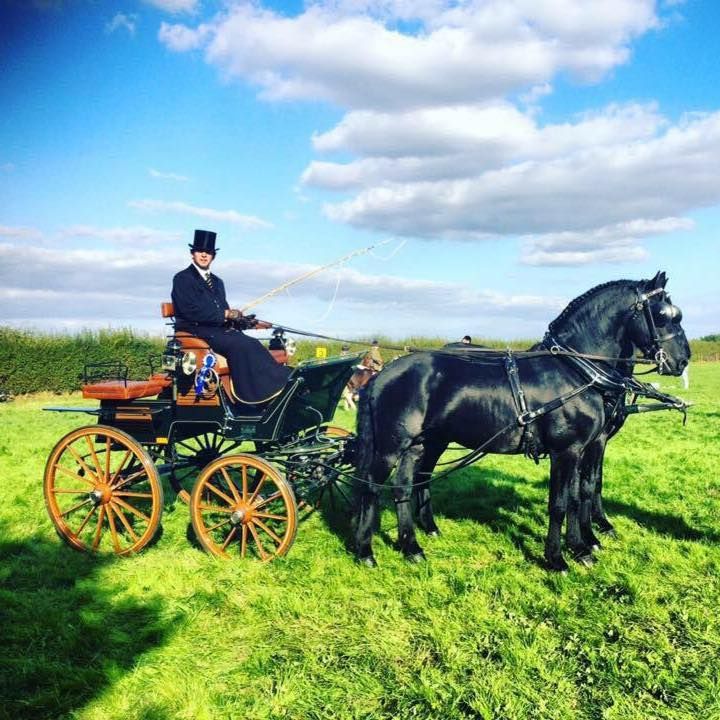 A man in a top hat is driving a horse drawn carriage