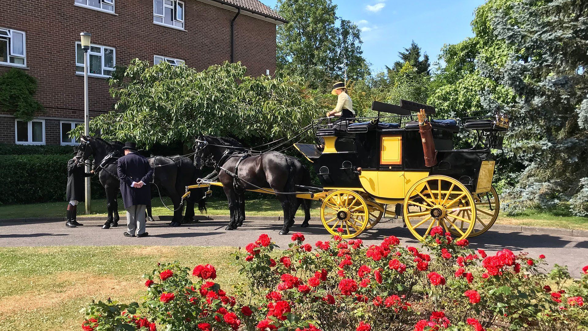 A horse drawn carriage is parked in front of a building