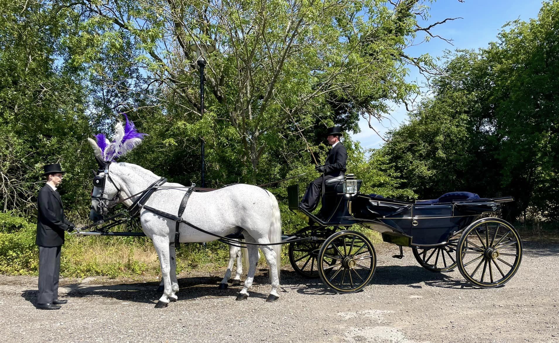 A man standing next to a horse drawn carriage