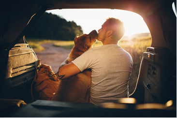 Man hugging dog in the back of a car during sunset. Golden light and happy expressions.