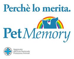 Pet Memory