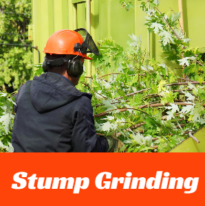 Worker in orange helmet grinding a stump beside green siding, with “Stump Grinding” text
