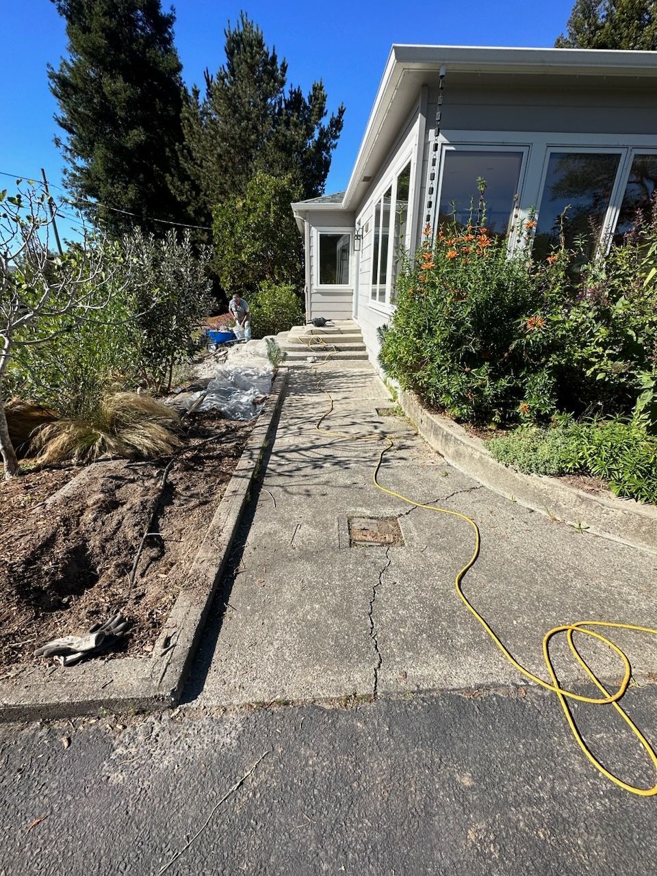 Concrete walkway leading to a house entrance.