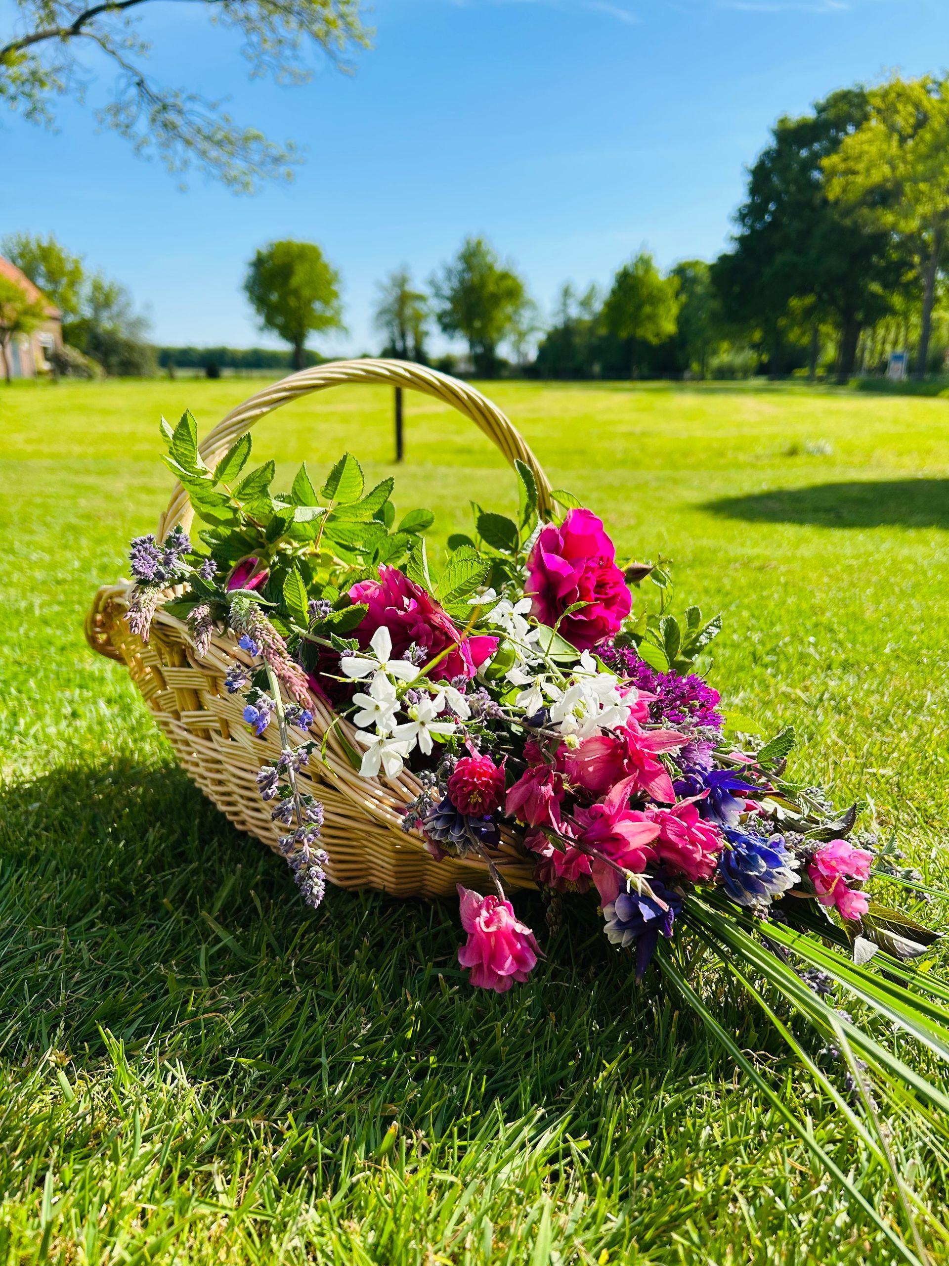 Workshops Bloemschikken & Pluktuinieren |Studio FemFleur | Hengelo Gelderland | Achterhoek | Bloemstukken op maat