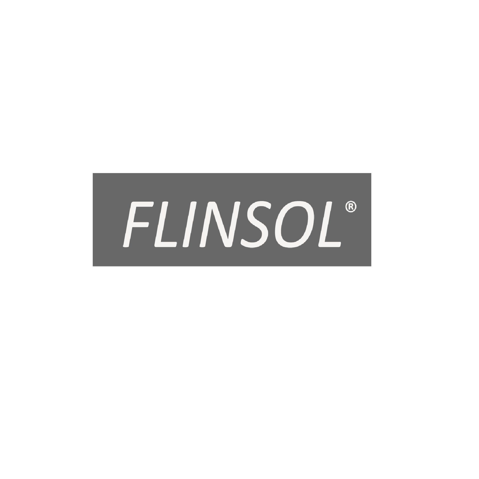 Flinsol logo
