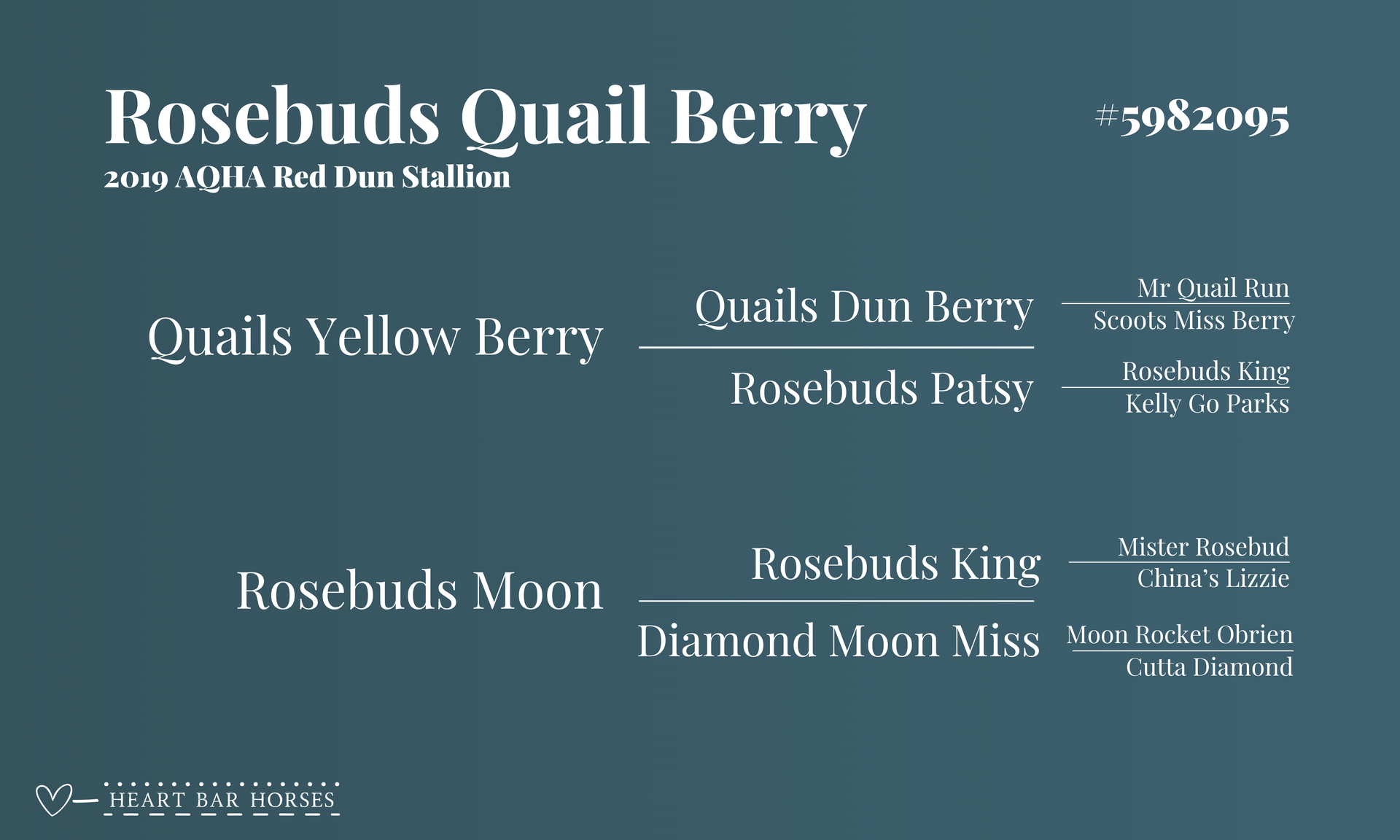 Lineage for Red Dun Gelding Horse in Texas