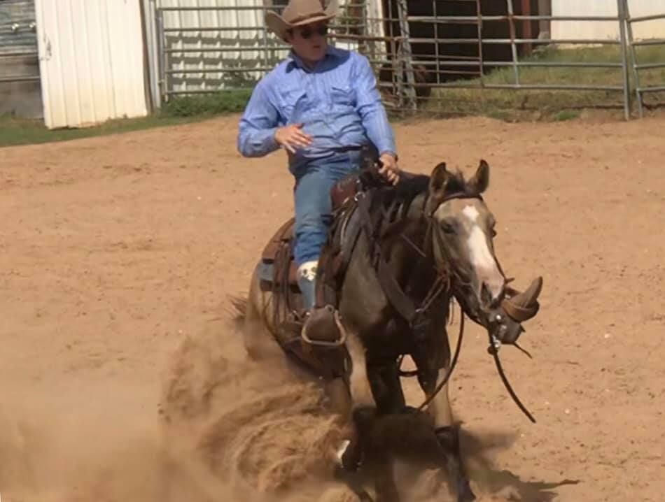 Roping Horse Photo Whitsett, TX