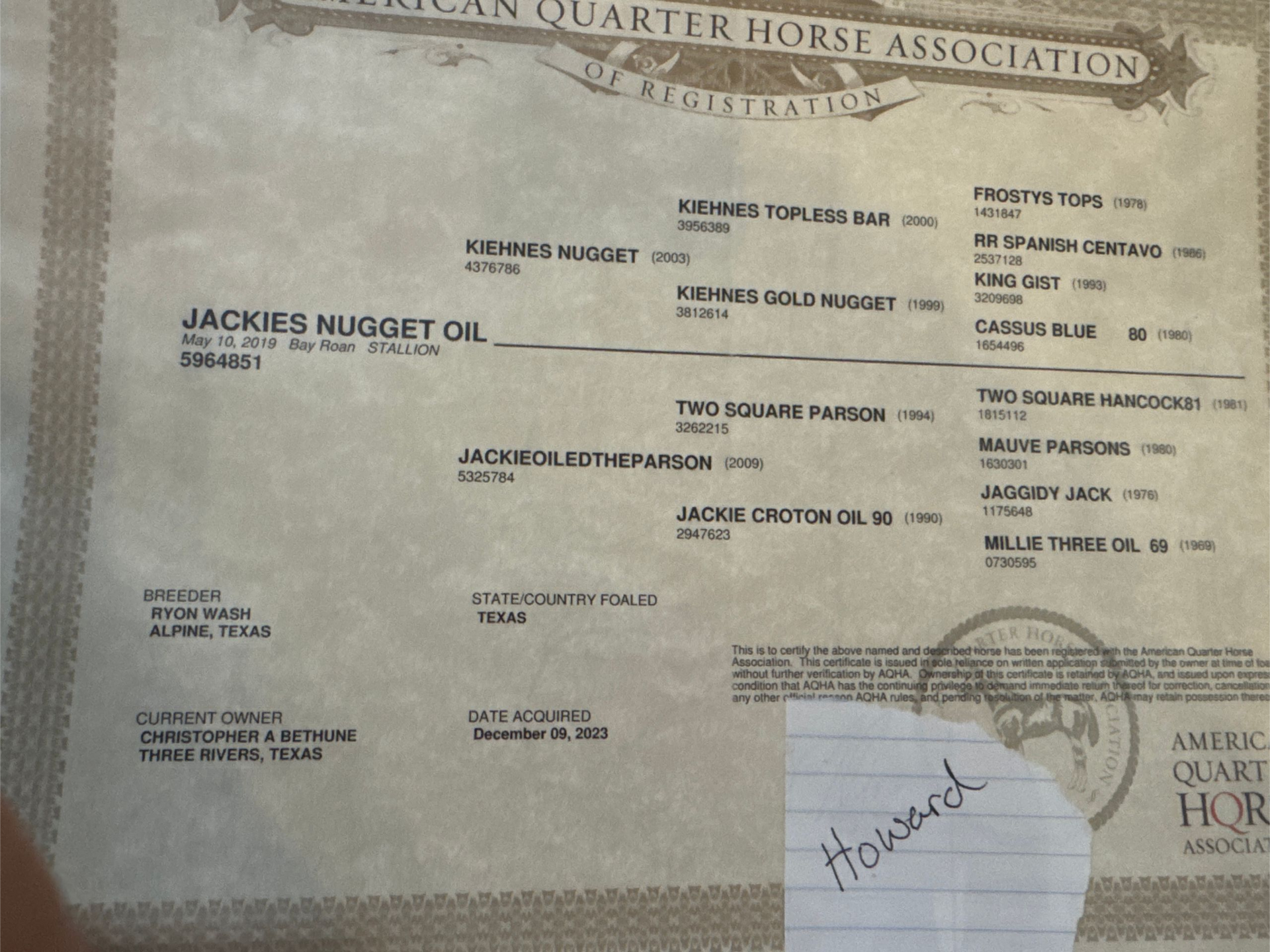 Lineage for Bay Roan Gelding Horse in Texas