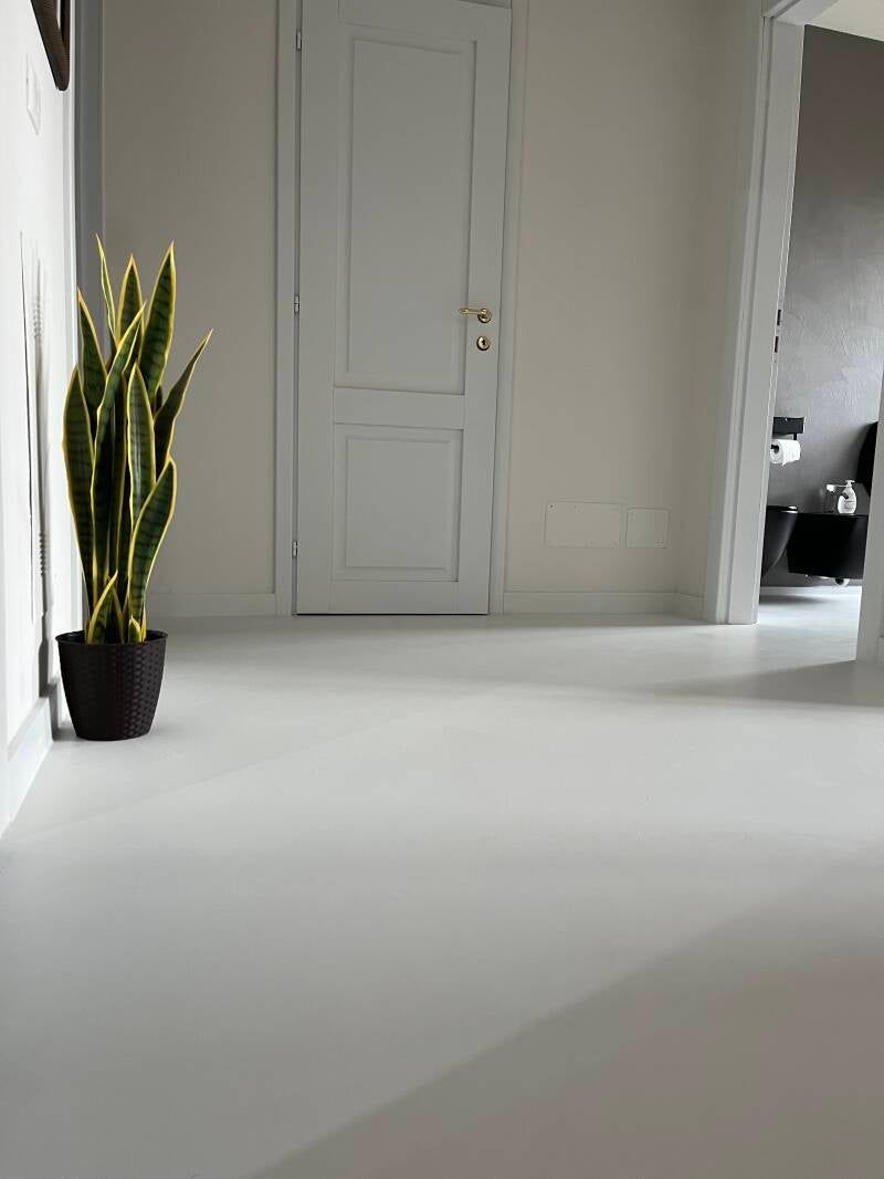 Vista interna: pareti, porta e pavimento bianchi. Un'alta pianta serpente in vaso è sulla sinistra. Luce intensa.