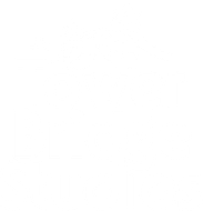 Tower Bridge Studios Logo White