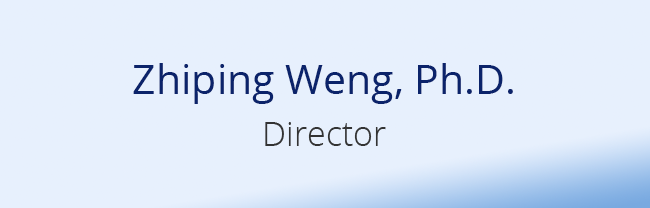 Zhiping Weng