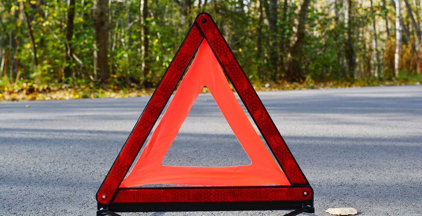 Red warning triangle on asphalt road, forest background.