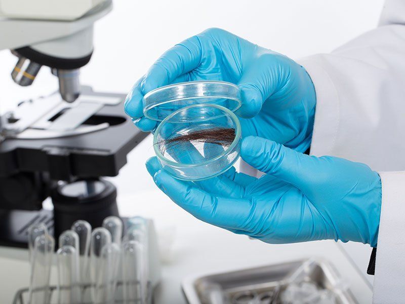 Mani guantate con campione per analisi in laboratorio