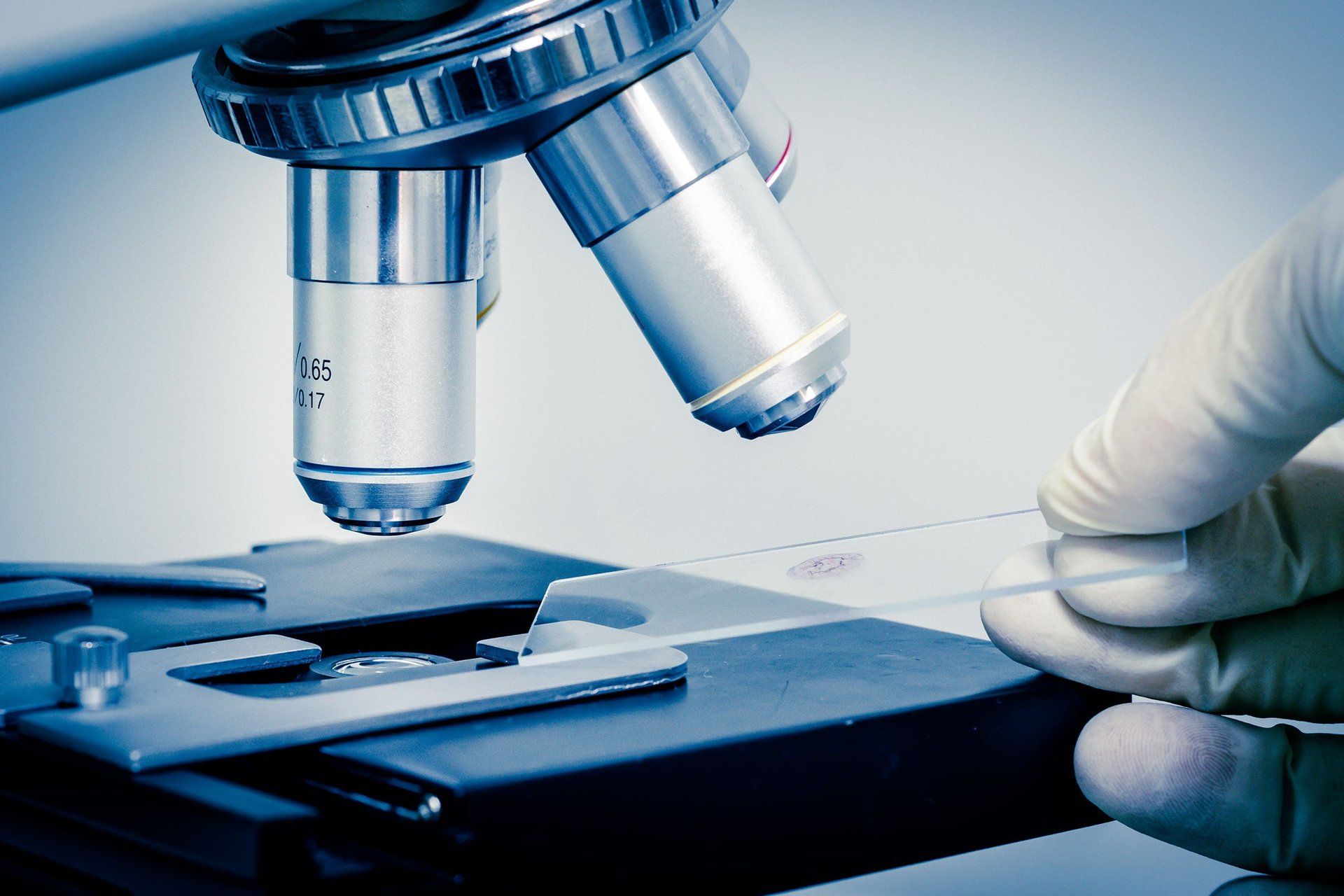 Microscopio con campione per breath test