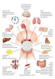 microbiota intestinale