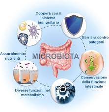 microbiota intestinale