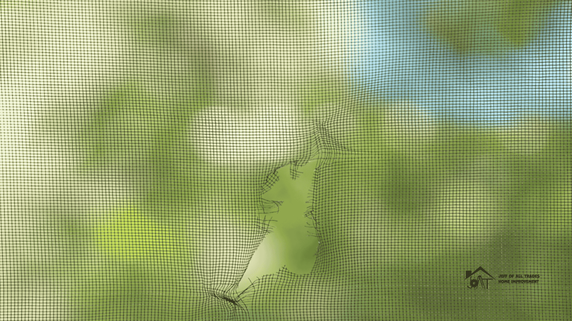 DIY screen fixes or professional repair for torn windows