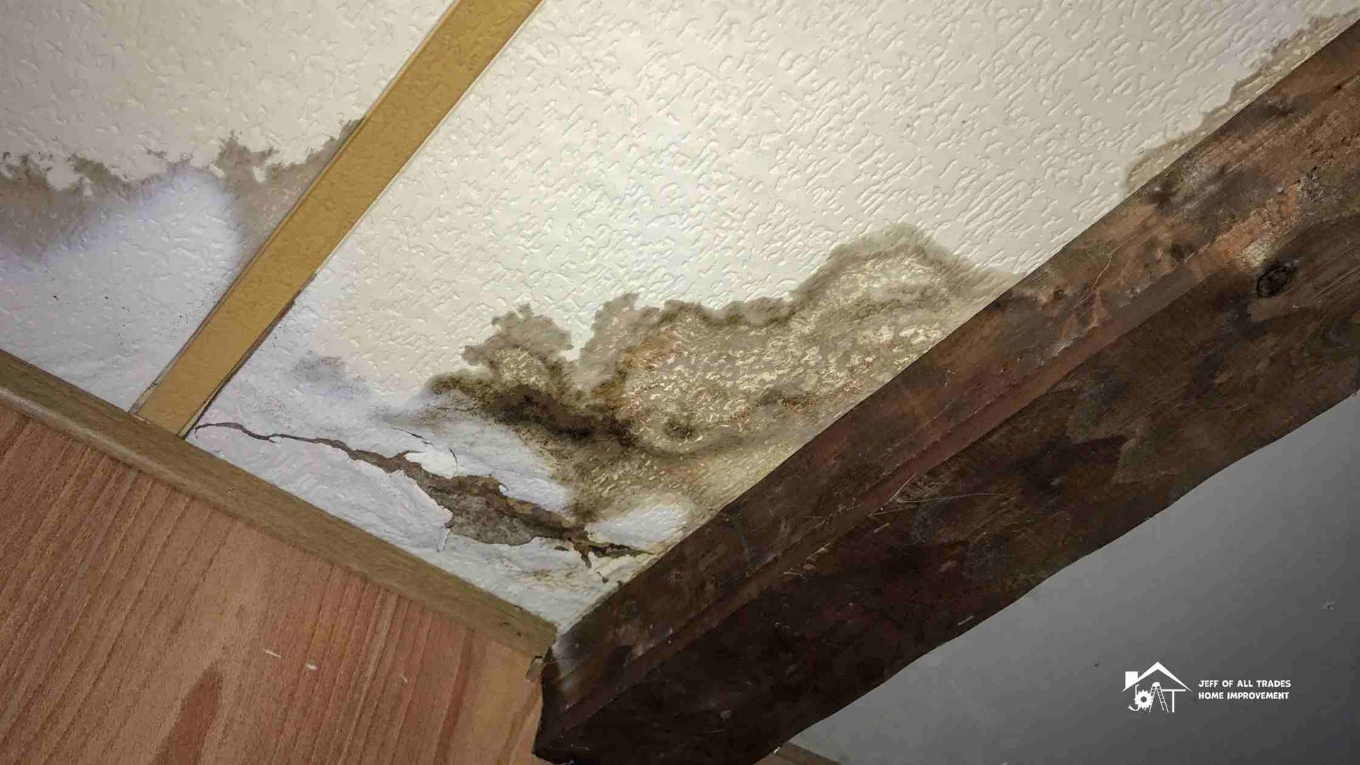 Water Damage Signs 2026