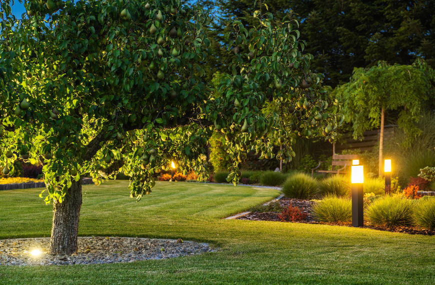 Guide to Landscape Lighting Design